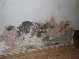 Pintura transpirable para humedades